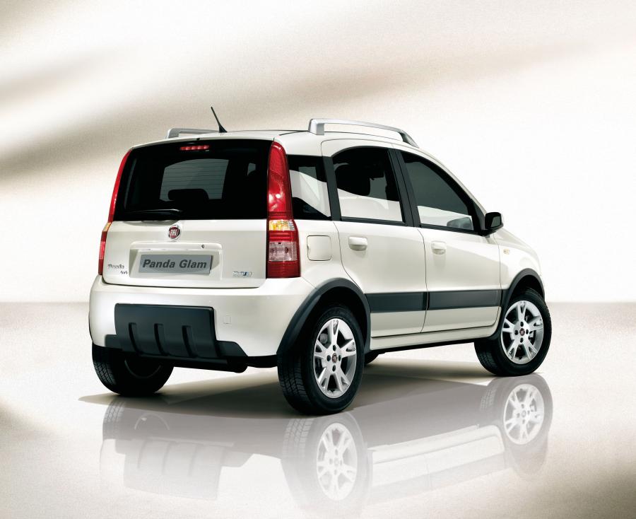  Fiat Panda 4x4 Glam 2008 года  (фото 2 из 6)